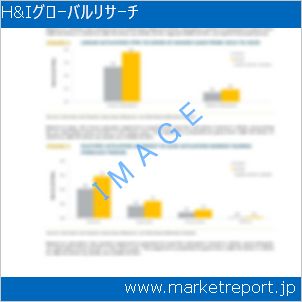 市場と産業調査レポートのイメージ